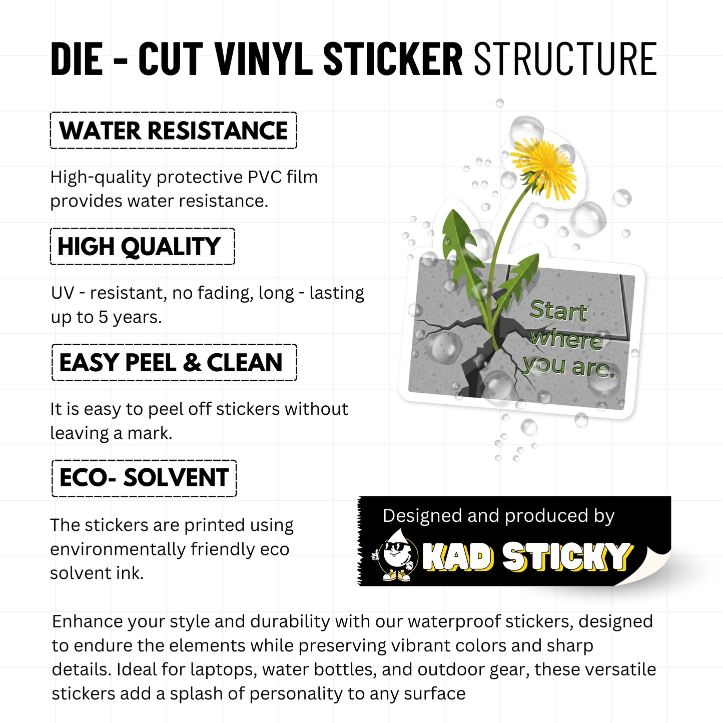 Positive Affirmation Sticker - Start Where You Are Dandelion