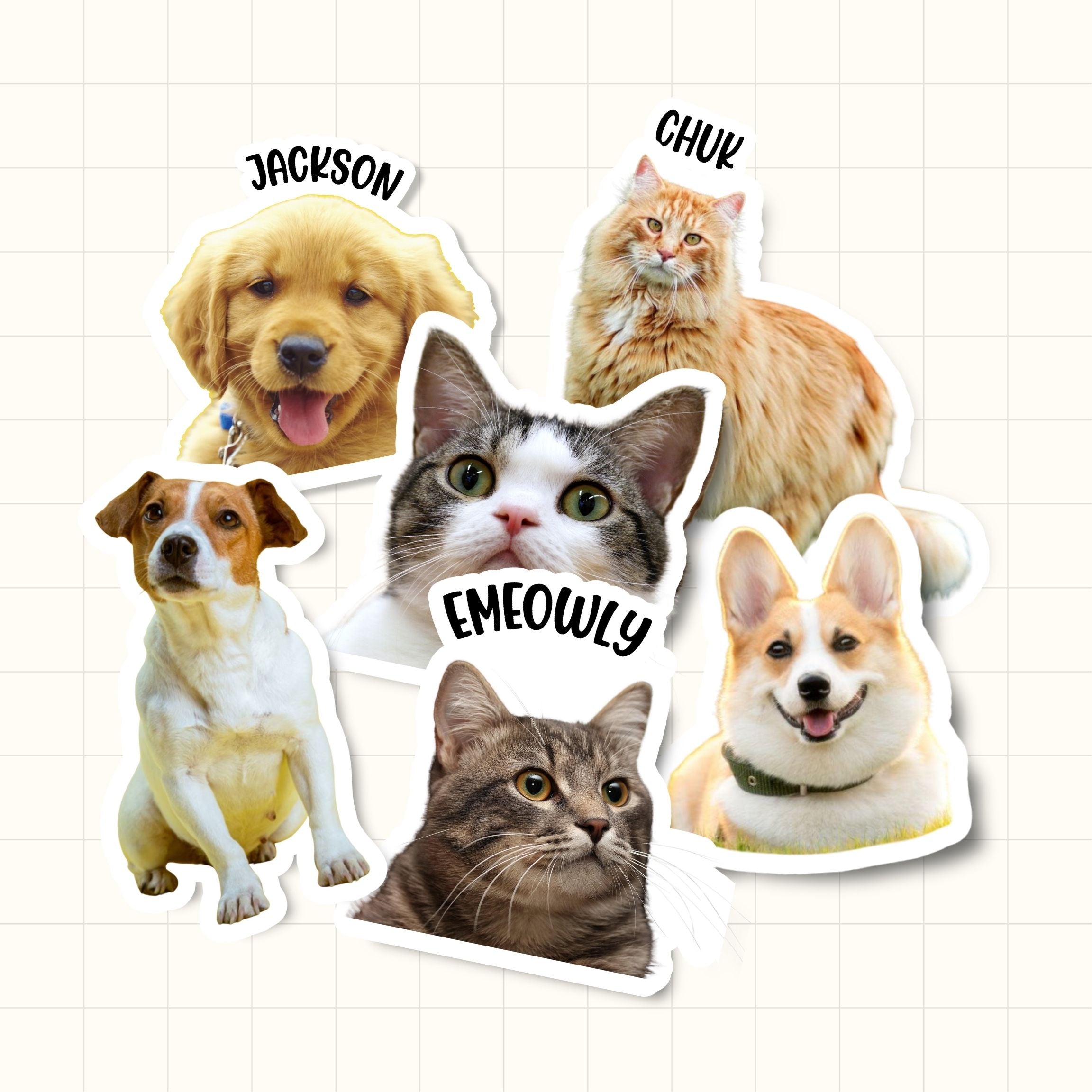 Custom Pet Photo Sticker (Waterproof Vinyl) – KAD Sticky Prints | No ...