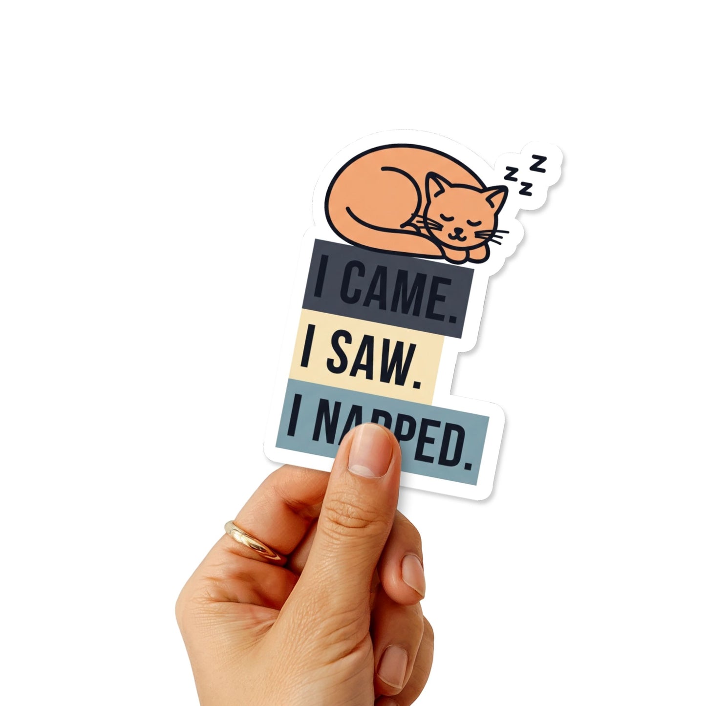 Funny Cat Sticker - I Came I Saw I Napped Sleeping Cat Decal