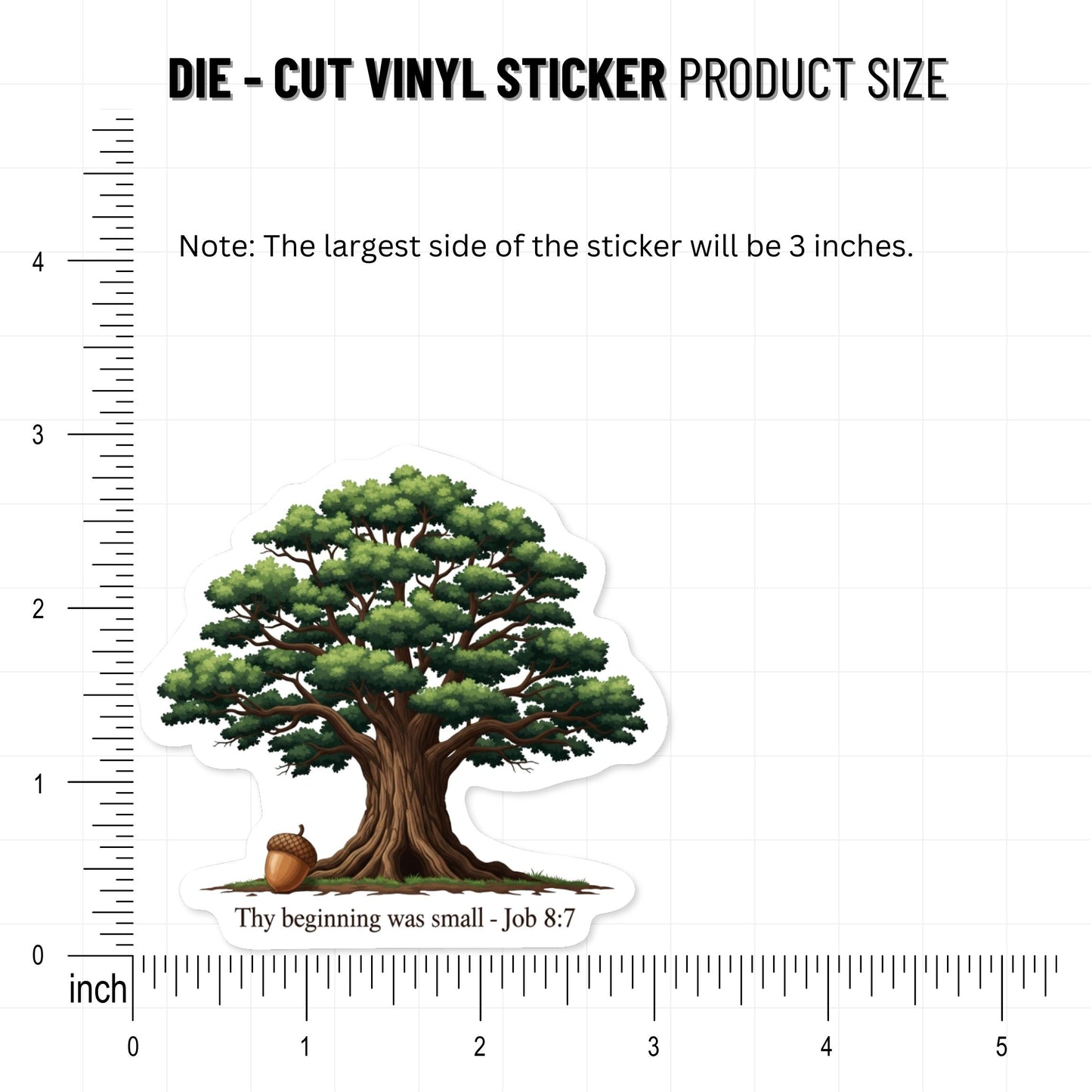 Job 8:7 Bible Verse Sticker - Aesthetic Acorn and Oak Tree Design