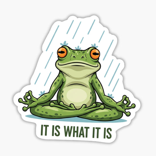 Radical Acceptance Sticker - Zen Frog It Is What It Is Vinyl