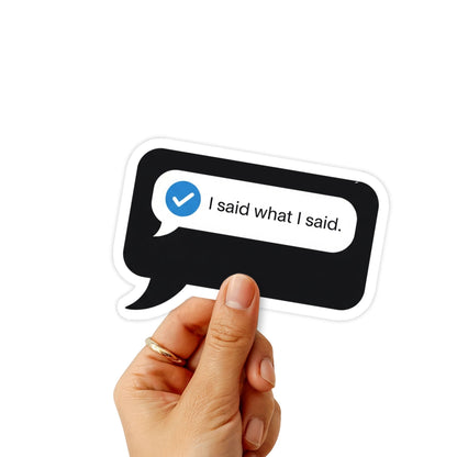 "I Said What I Said" Empowerment Sticker - Minimalist Boundary Decal